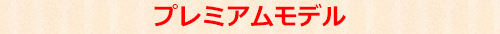 プレミアムモデル.jpg